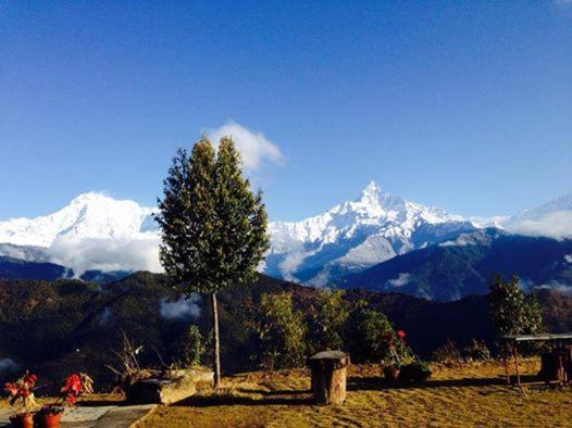 Himalayan Deurali Resort Pokhara Exterior foto
